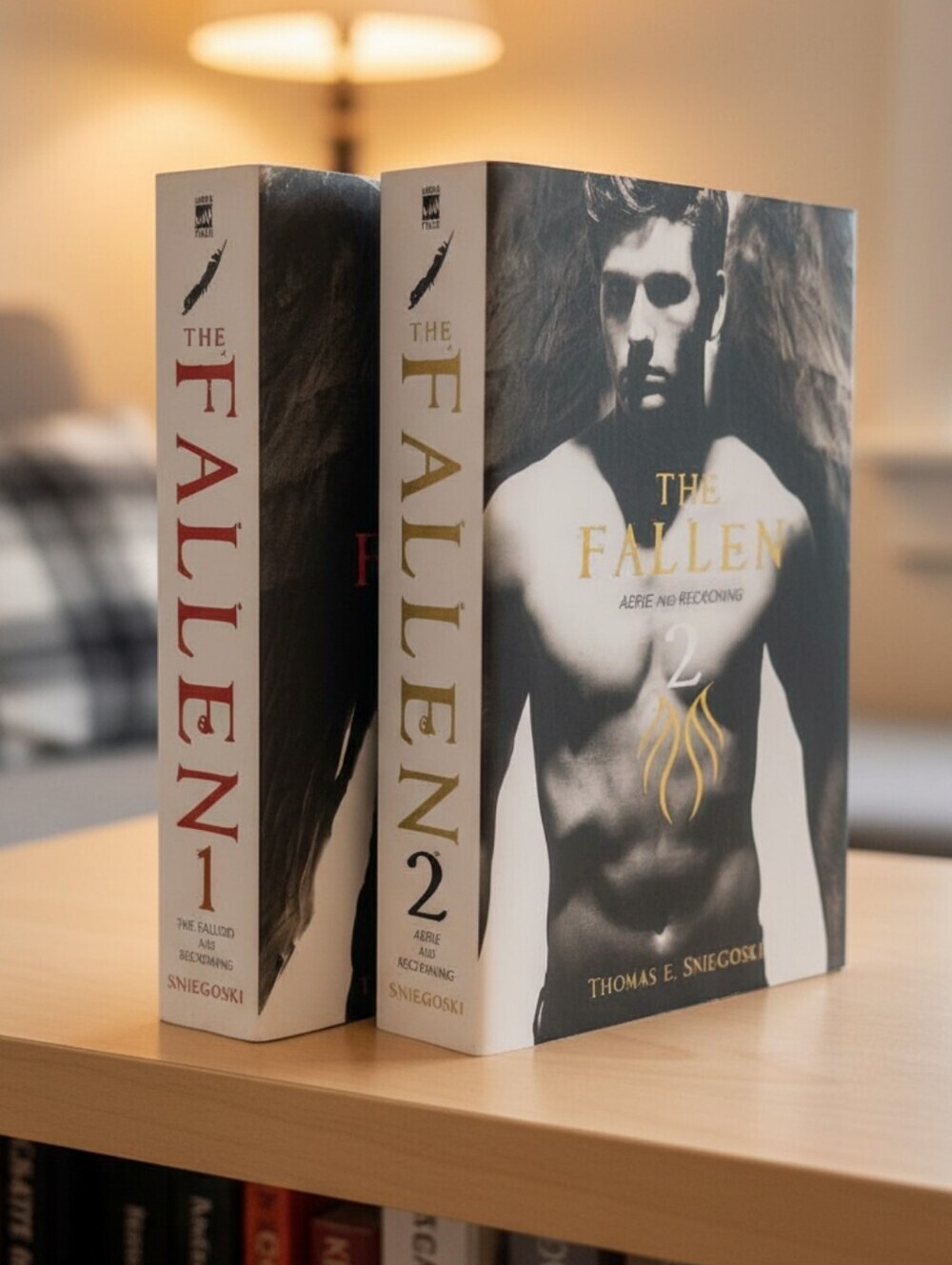 The Fallen Book Set